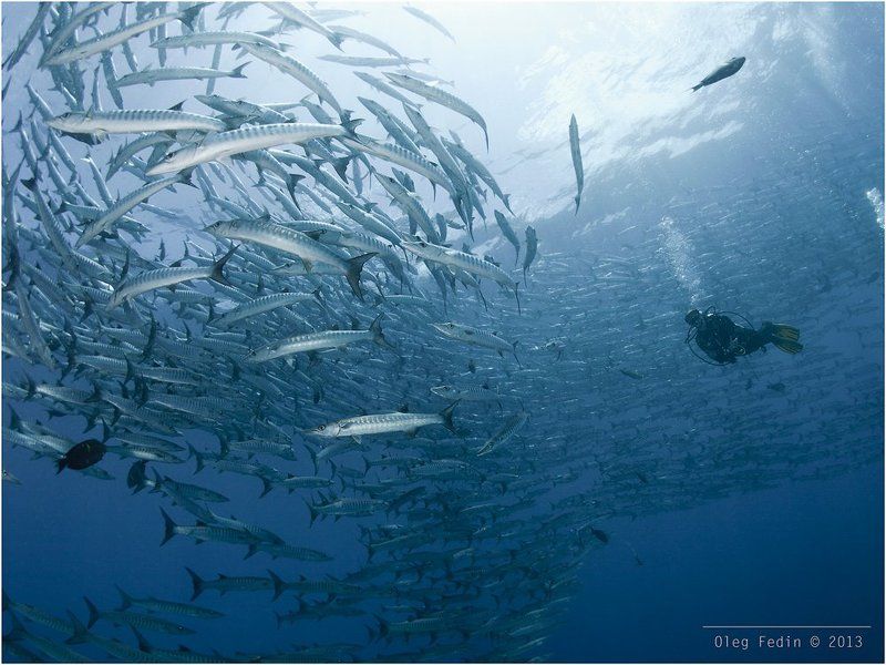 Хороводы хороводимphoto preview