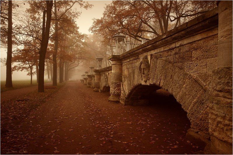 туман, парк, пруд, царское село, прогулка, турист, аллеи, осень, листва Туман в Царском Селеphoto preview