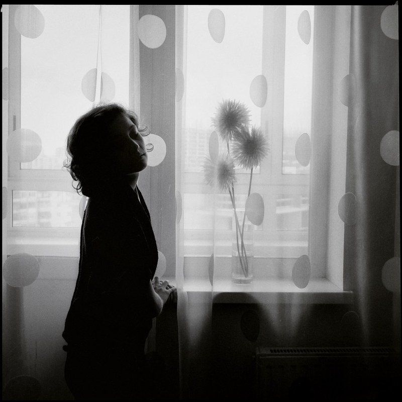 Три герберыphoto preview