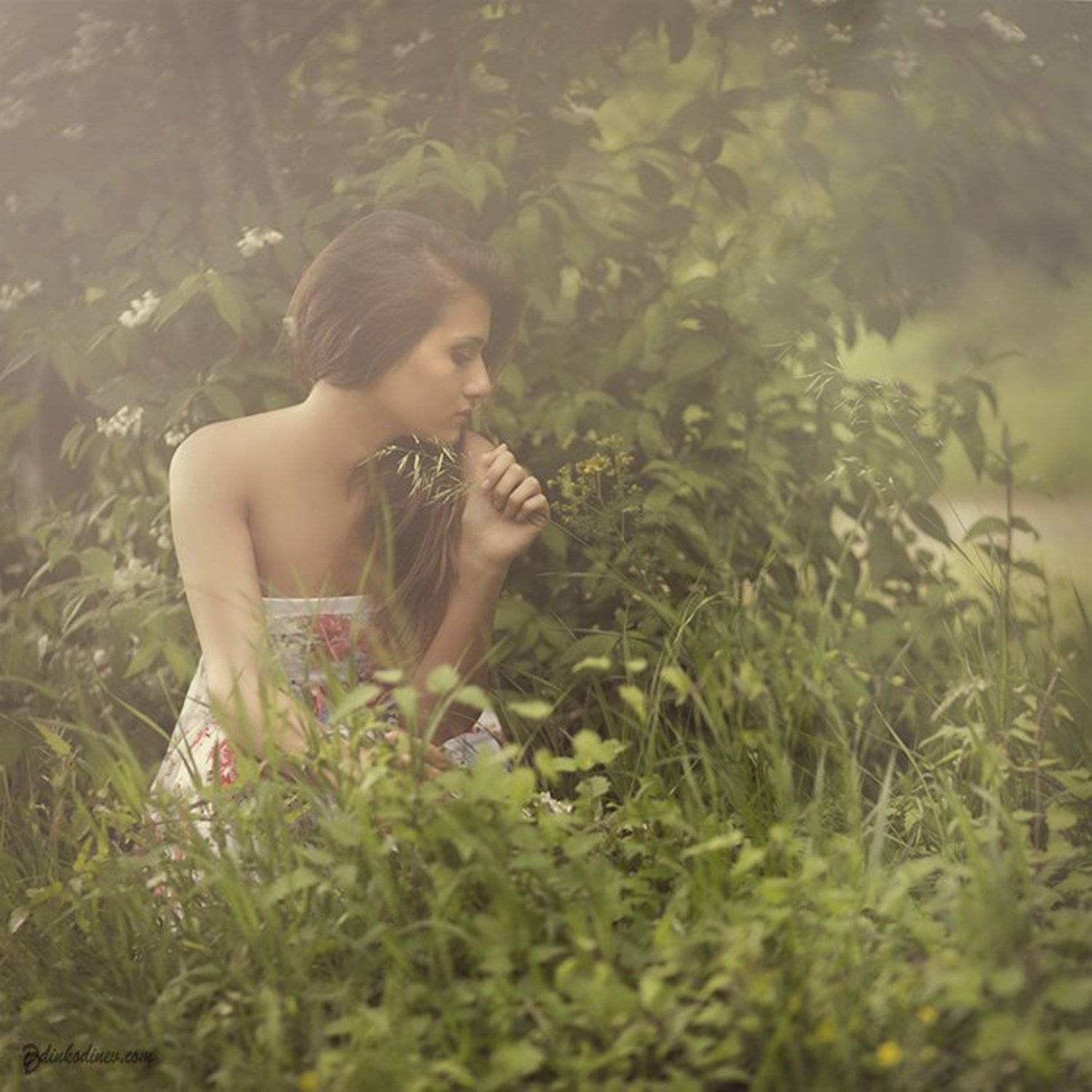 , Динко Динев