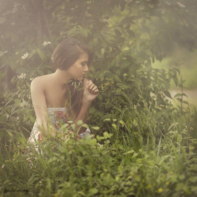 Невенаphoto preview