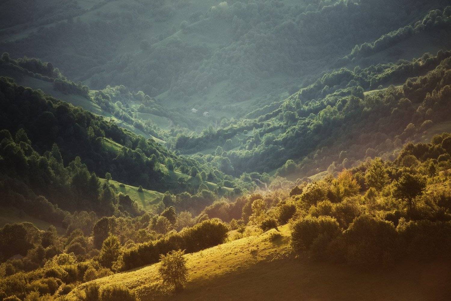 Вечер, Июнь, Карпаты, Лето, Вейзе Максим