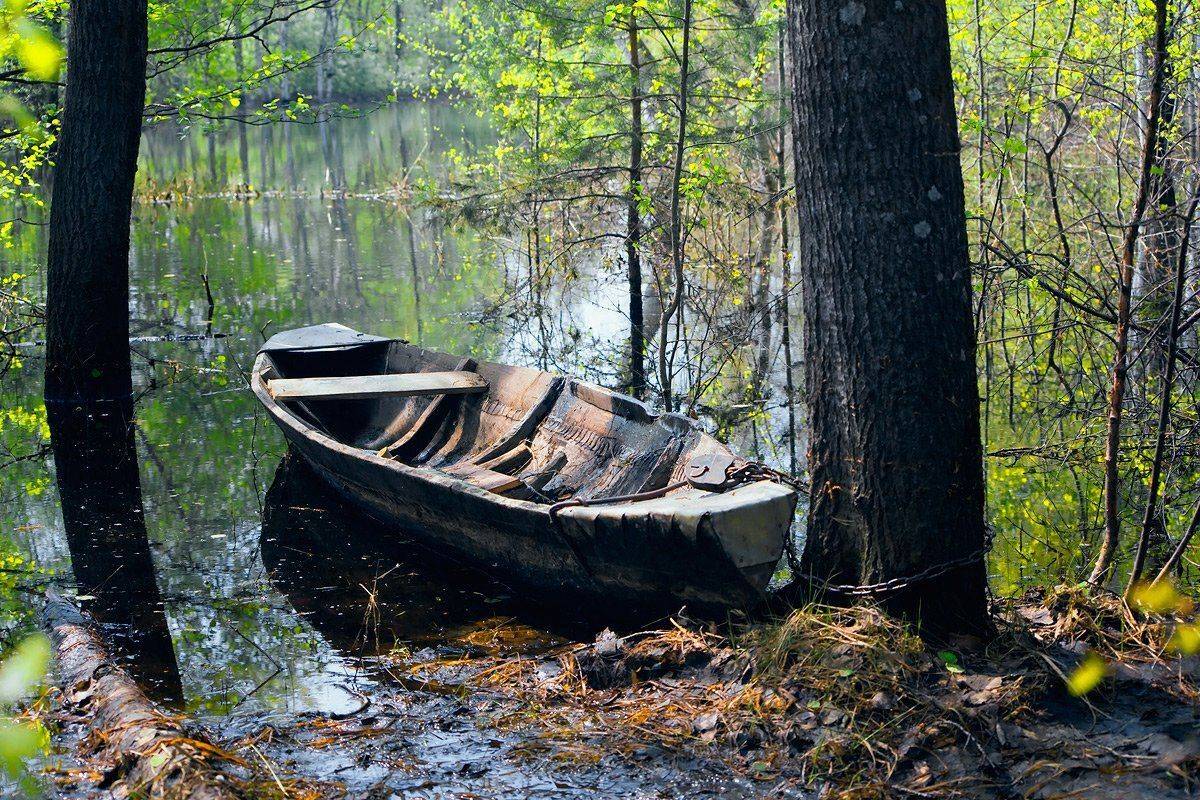 Весенний этюд с лодкой. Автор: Валерий Пешков весна, разлив, лодка, мещёра, рязанская область, Валерий Пешков