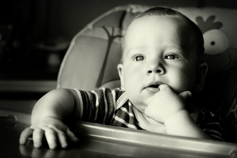 Тимурphoto preview