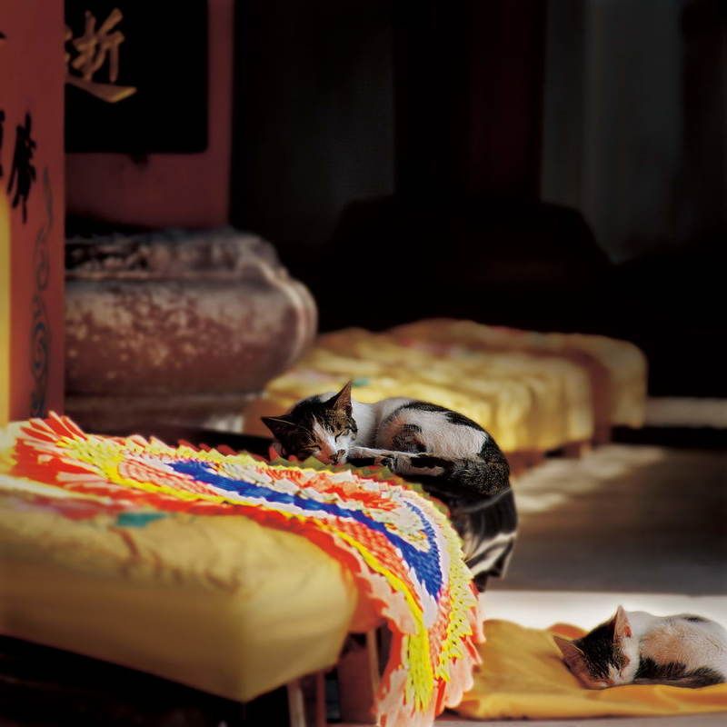 张望作品·佛泽photo preview