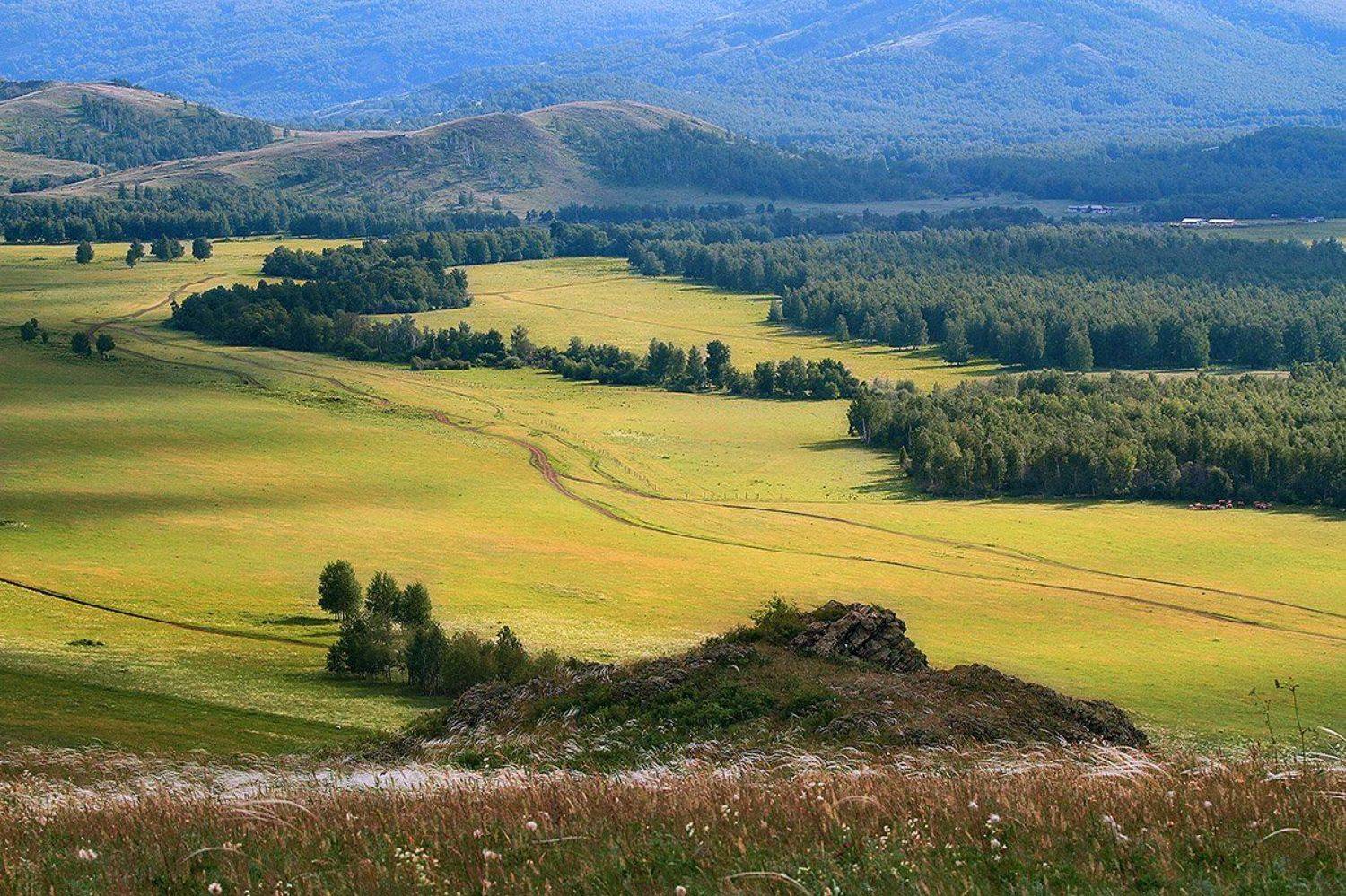 , Александр Сысуев