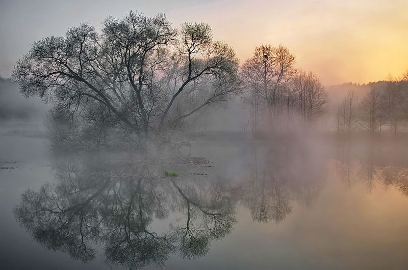 .... лиирика цвета ...photo preview