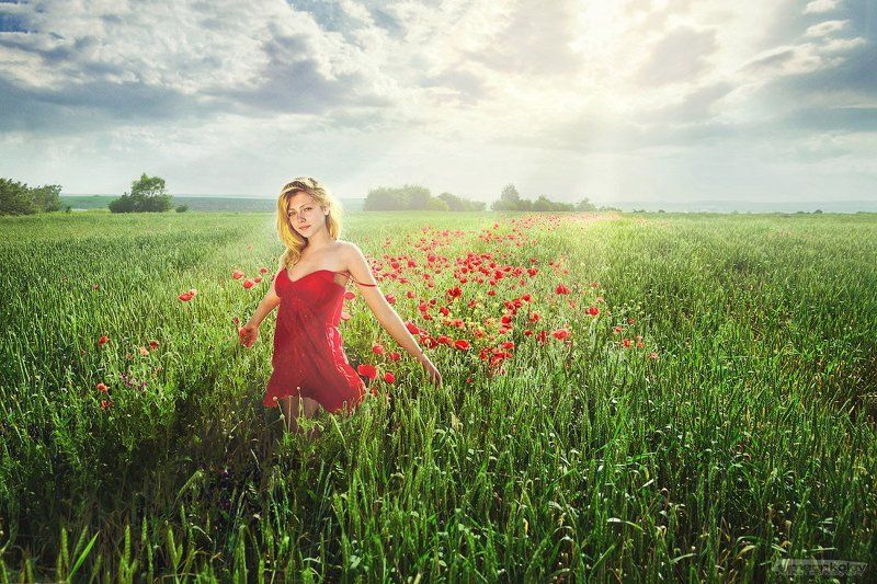 Ива между макиphoto preview