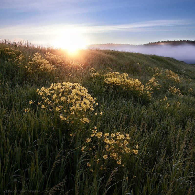 Summer morningphoto preview