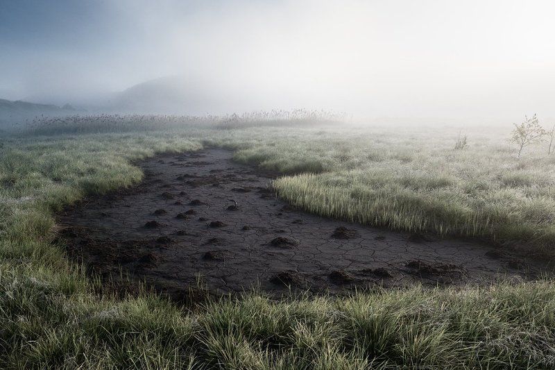 Болотоphoto preview