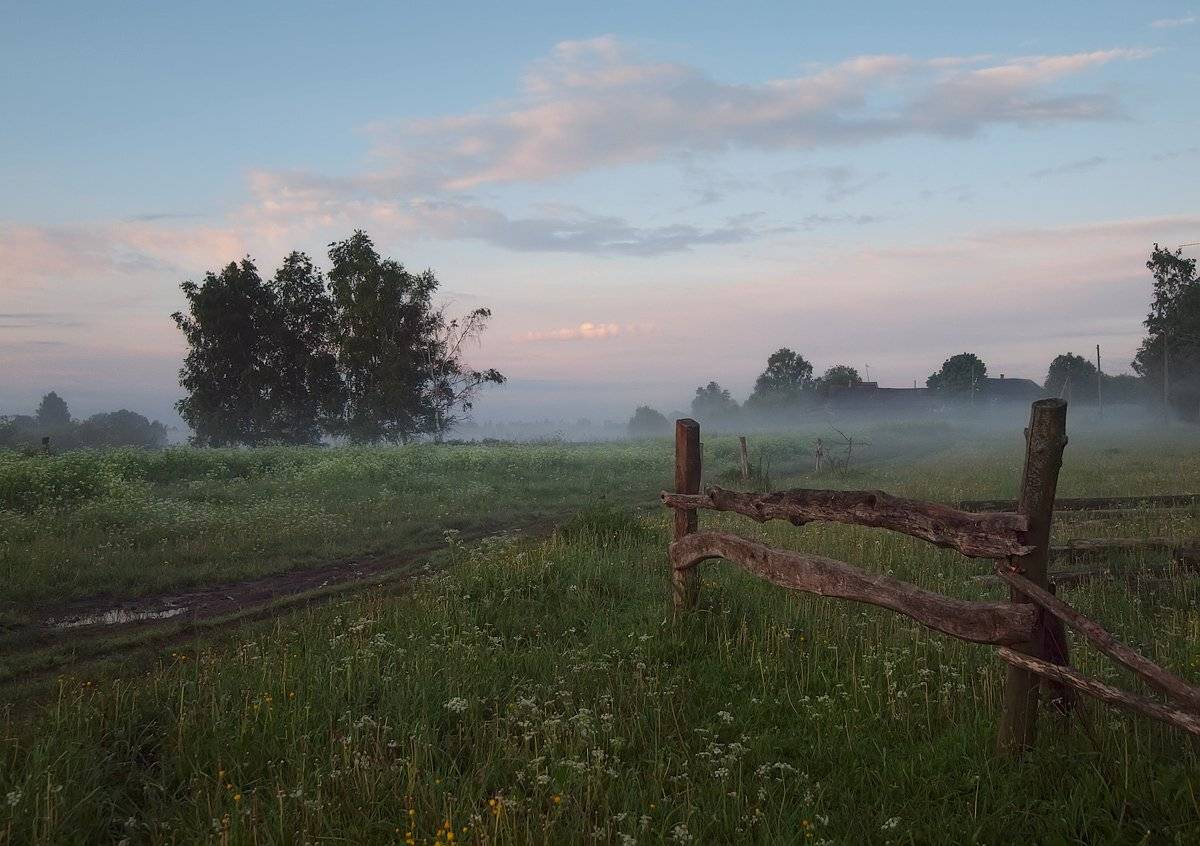 ***. Автор: Владимир Перепечаев , Владимир Перепечаев