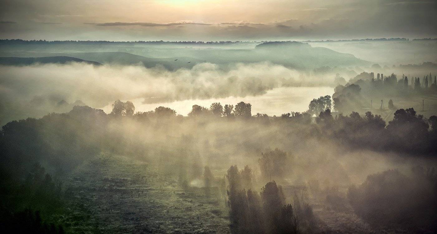 Moi, j'errais tout seul, promenant ma plaie.... Автор: Игорь Мелекесцев , Игорь Мелекесцев