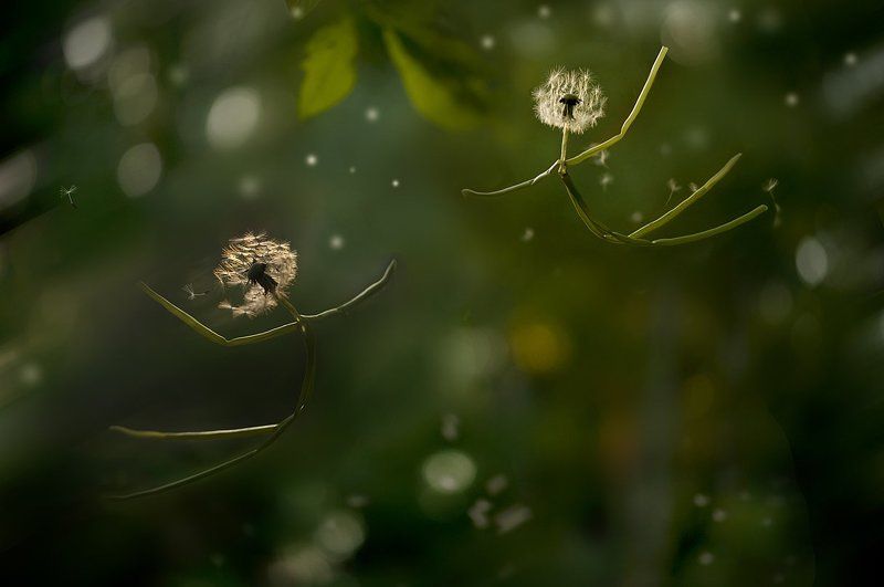 летний позитивчик)photo preview