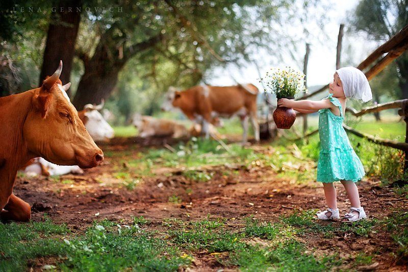 Летоphoto preview