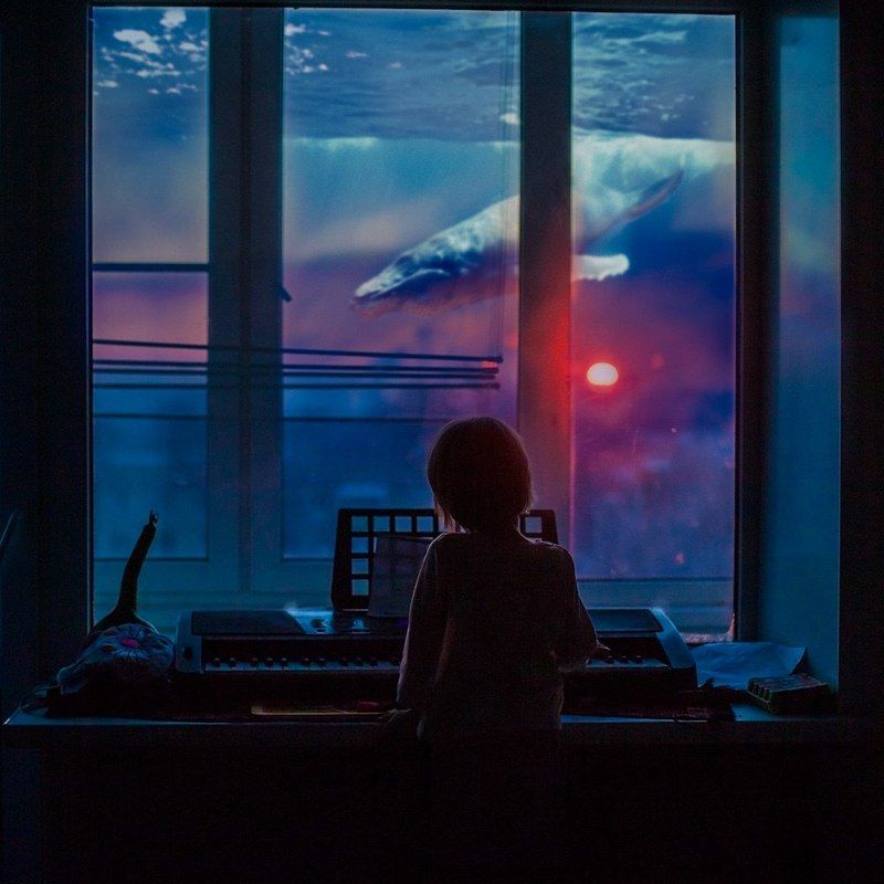 Whale melodyphoto preview