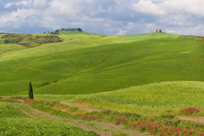 тоскана ***photo preview