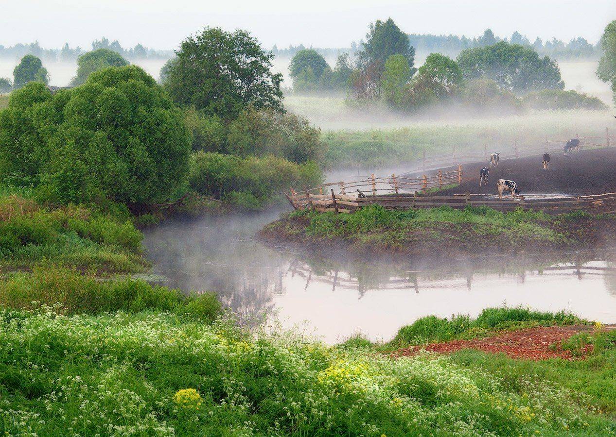 , Владимир Перепечаев
