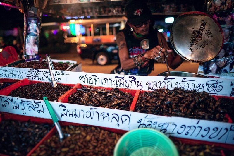 букашечки )photo preview