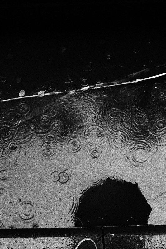 Зерноphoto preview