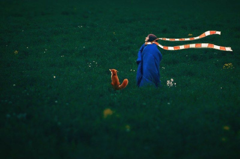 Маленький принцphoto preview