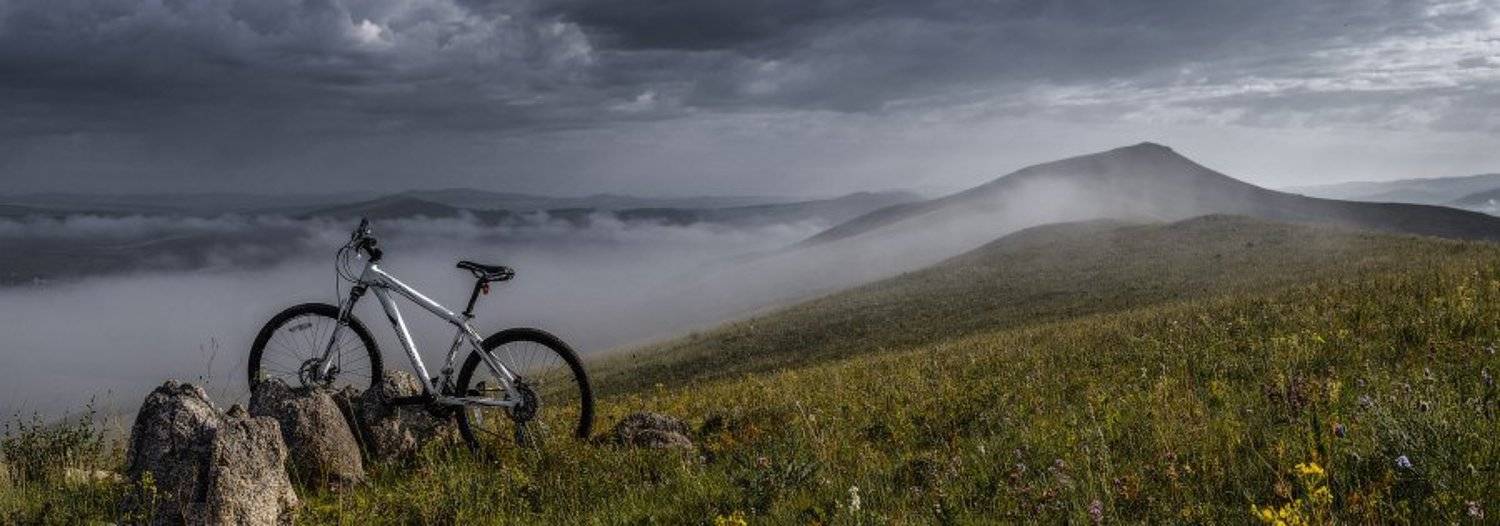 , Франчук Антон