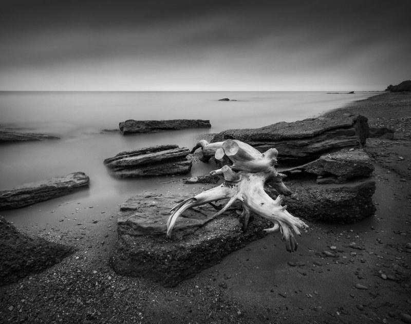 Чудище морское...photo preview