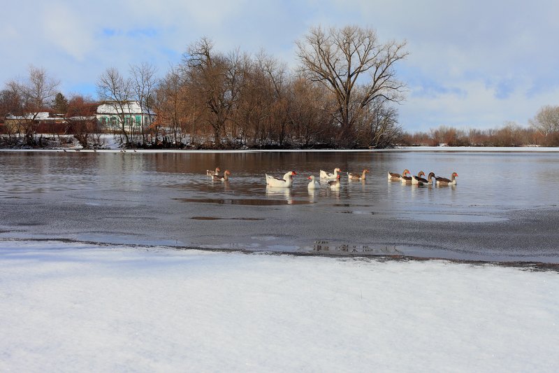 хутор, соколихин, photo preview