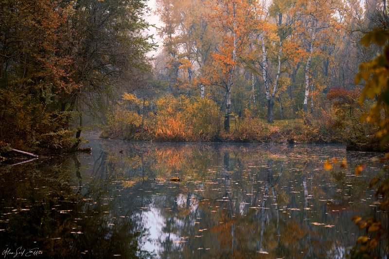 winter, cold, fog, foggy, nature, landscape, photo, walk, photography, passion, view, lake, water, reflection Winter Moodphoto preview