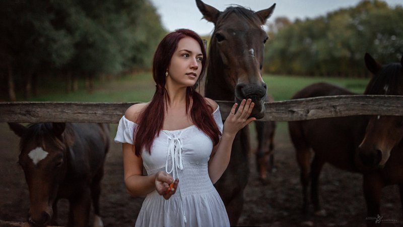 story, portrait, girl, art, model, lamb Nine Picture Story-The Lost Lambphoto preview