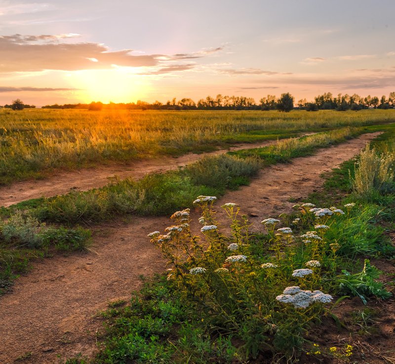 закат, степь, лучи Навстречу лучам фото превью
