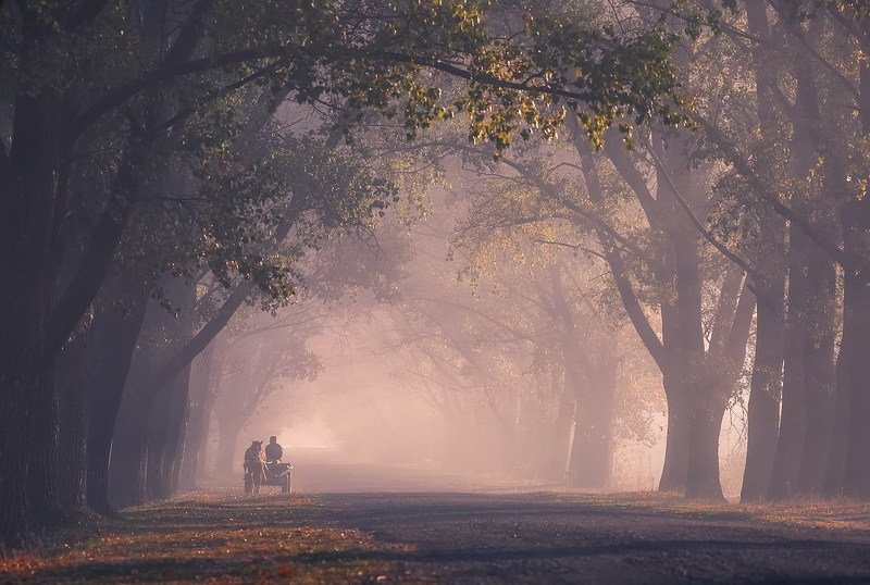 Своей дорогойphoto preview