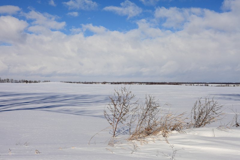 хутор, соколихин, photo preview