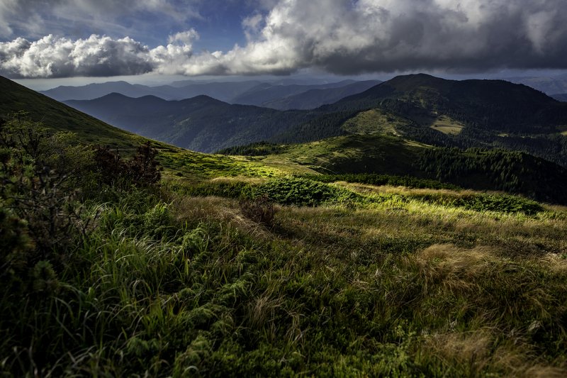 mountains, sun, clouds Cloudy day over the Carpathian mountainsphoto preview