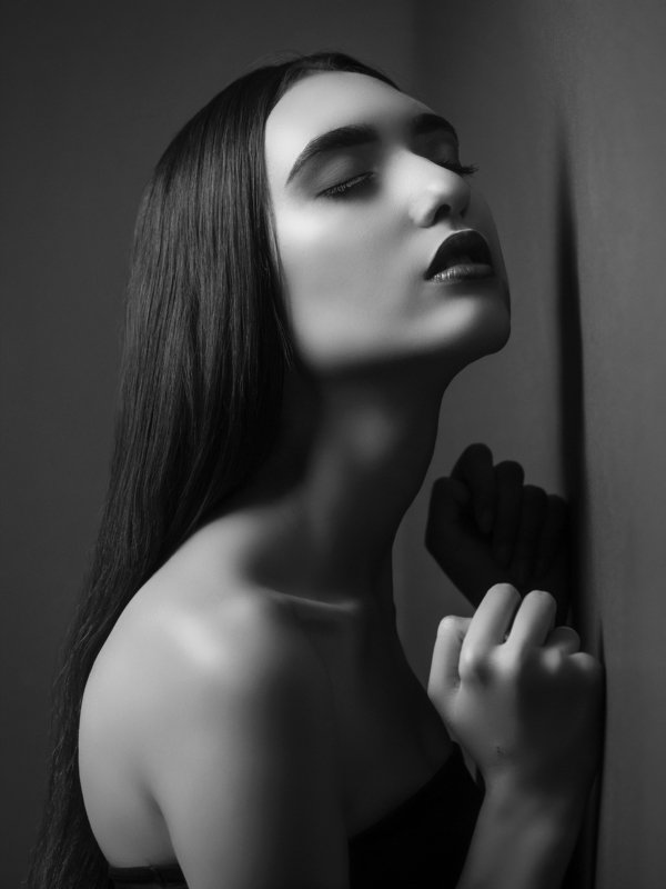 Black swanphoto preview