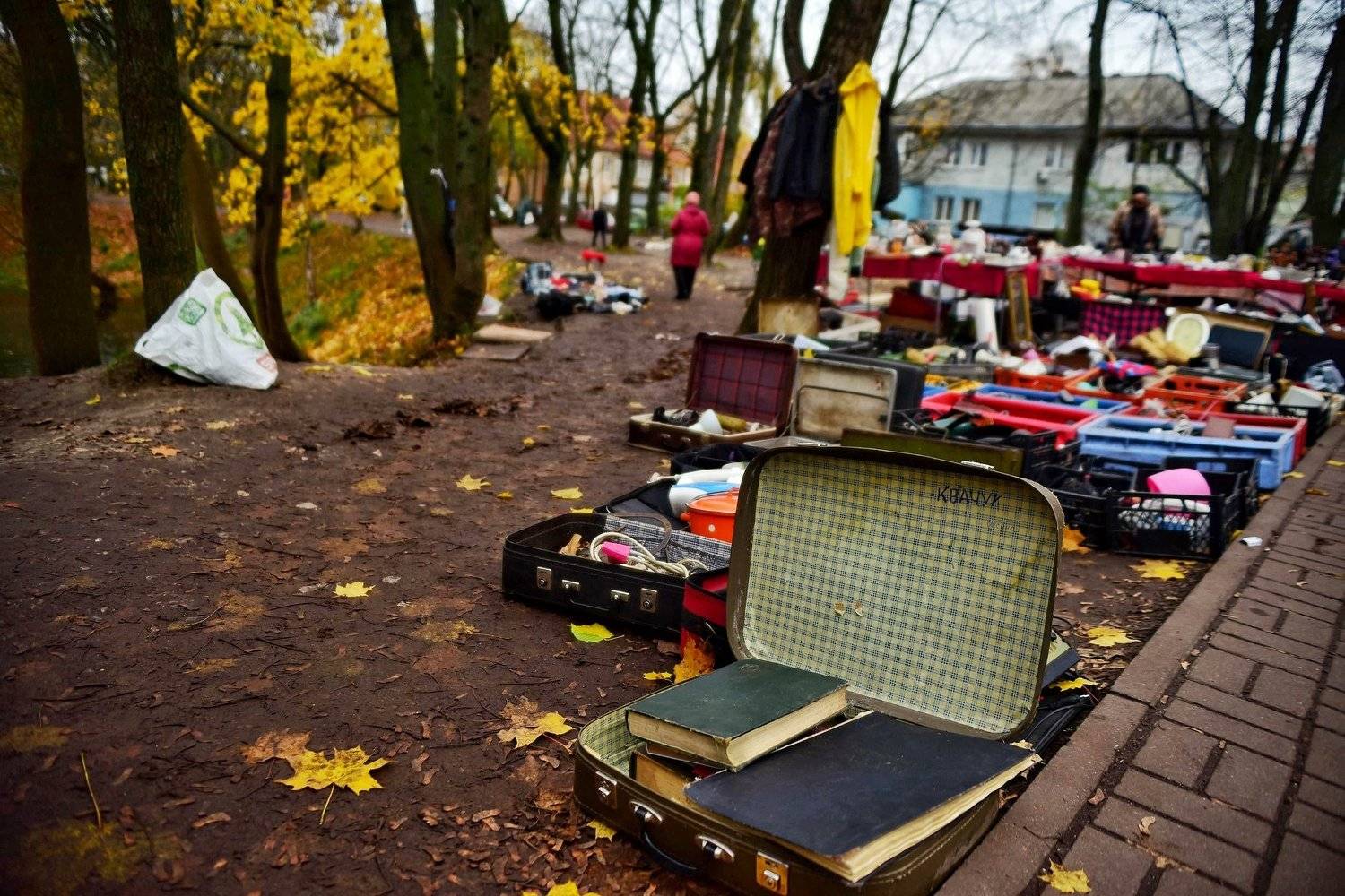 Блошка. Автор: Владимир Леликов-Кузьменко , Владимир Леликов-Кузьменко