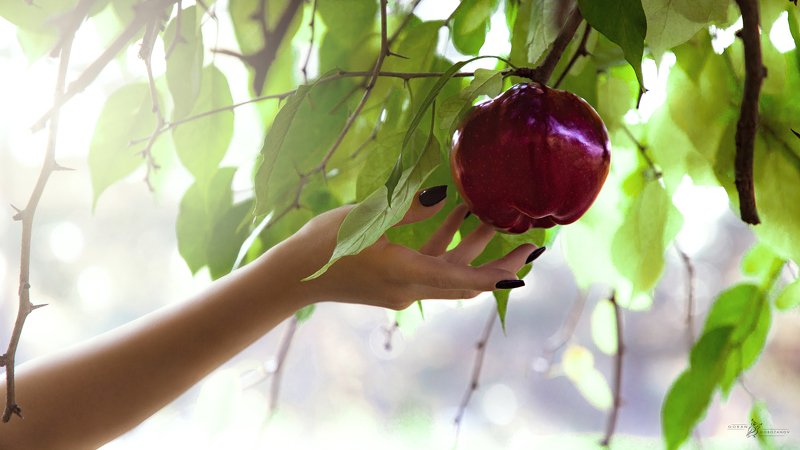 art, , story, , cinematic, girl, , model, , portrait Nine Picture Story- The Path of Sinphoto preview