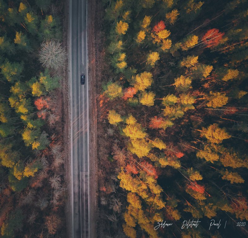 ленинградская область_выборгский район_дорога_закат_декабрь_машина_лес_красный_жёлтый_зелёный_пейзаж_аэросъёмка ***photo preview