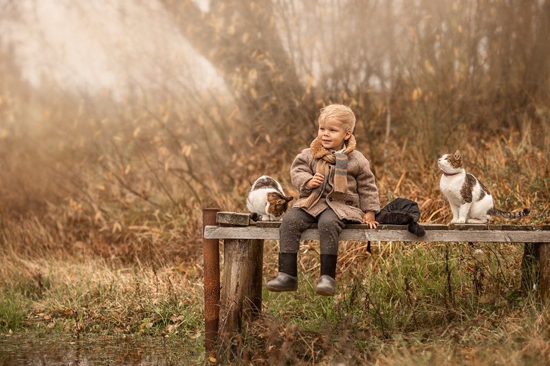 дети, деревенские дети, деревня, мальчики, мальчишки, дети и животные, кошка, кот, осень Друзья фото превью