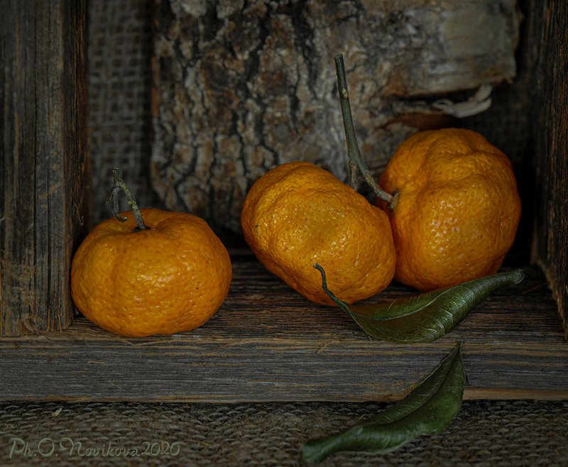 мандарины,листки,кора ***photo preview
