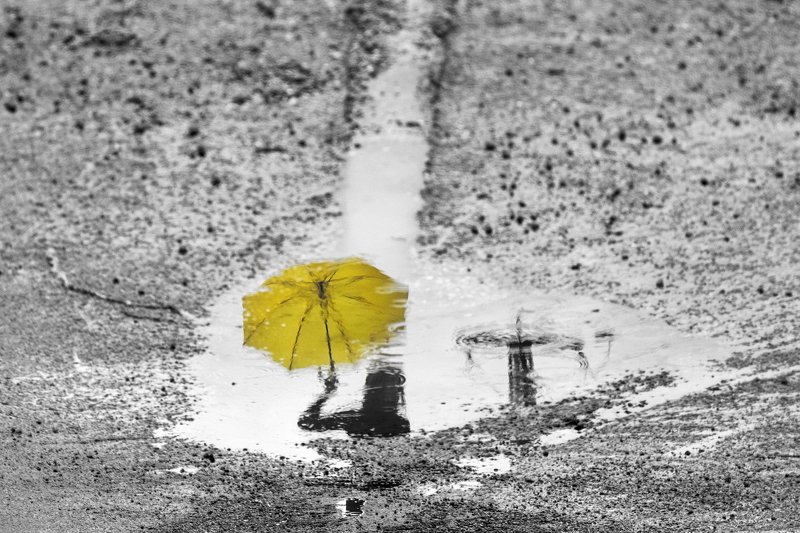 дождьphoto preview