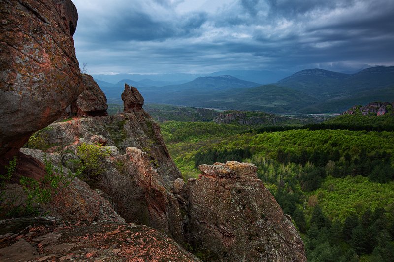 Контрастphoto preview