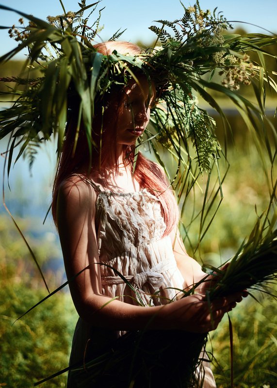 лето, тени, свет, цвет Дягильphoto preview