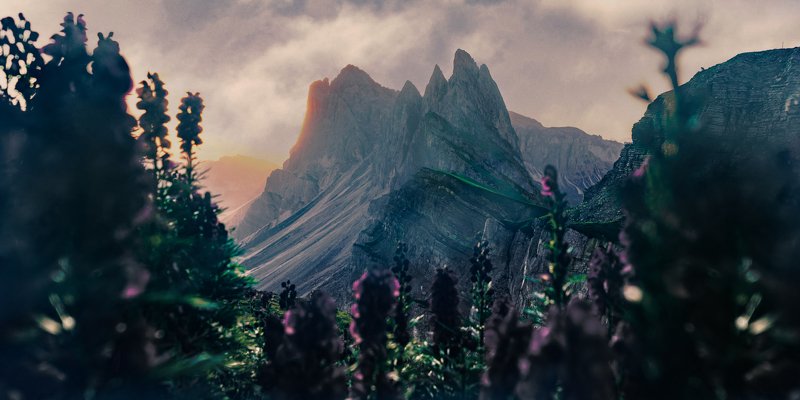 dolomiti, beauty, mountain, art, sunset, flora, flowers Dream of Secedaphoto preview