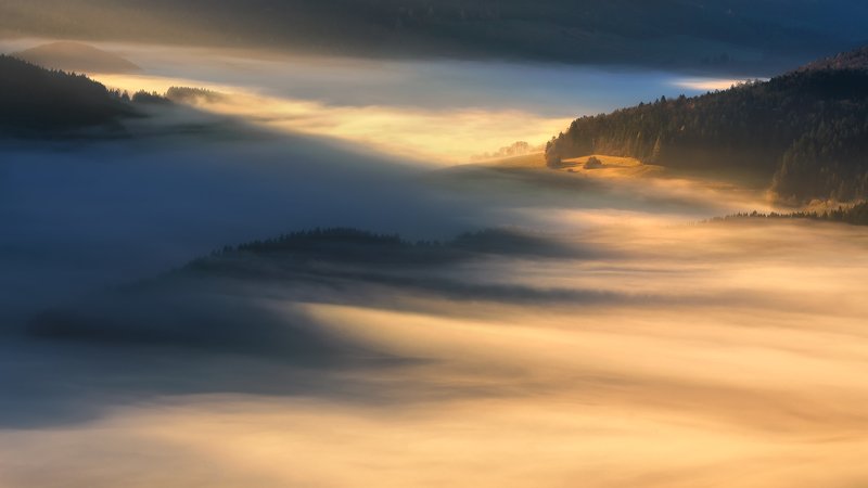 Foggy Sulovphoto preview