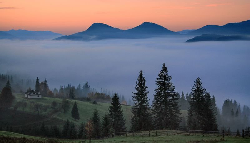 Утро в Карпатахphoto preview