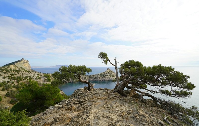 autumn, morning, coast, season, sea, water, landscape, nature, rock Morningphoto preview