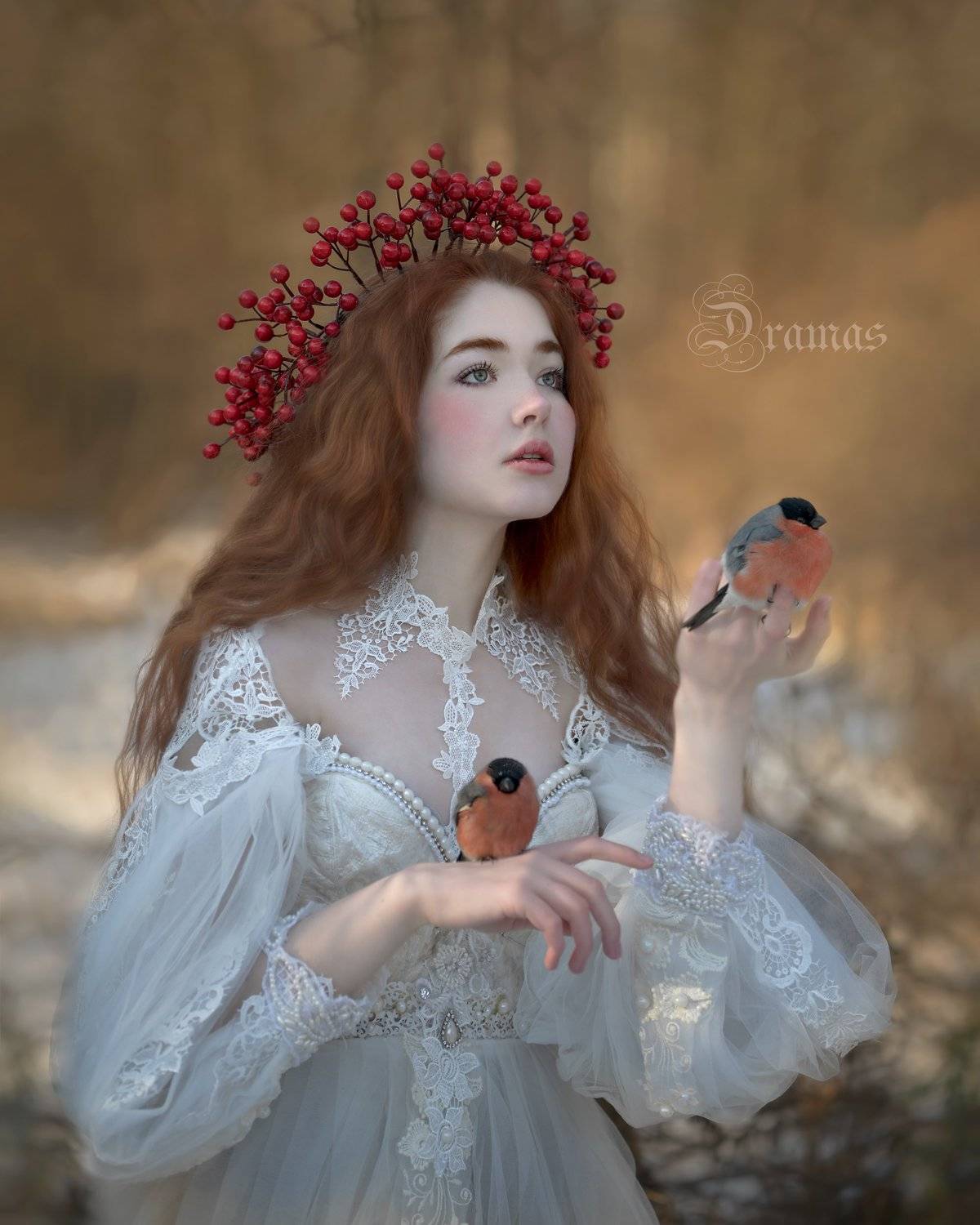 артфото, фотографмосква, рябина, художественнаяфотография, съемкасживотными, снегири, зима, снег, птицы, Evgeniya Fedorova