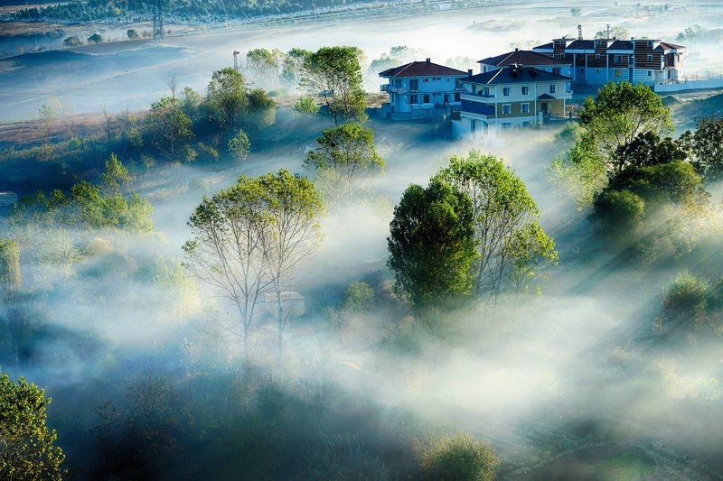 morning awakening of the cityphoto preview