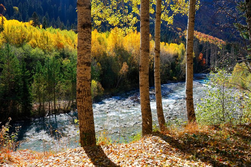 домбай, кчр, тебердп, горы, гоначхир, photo preview