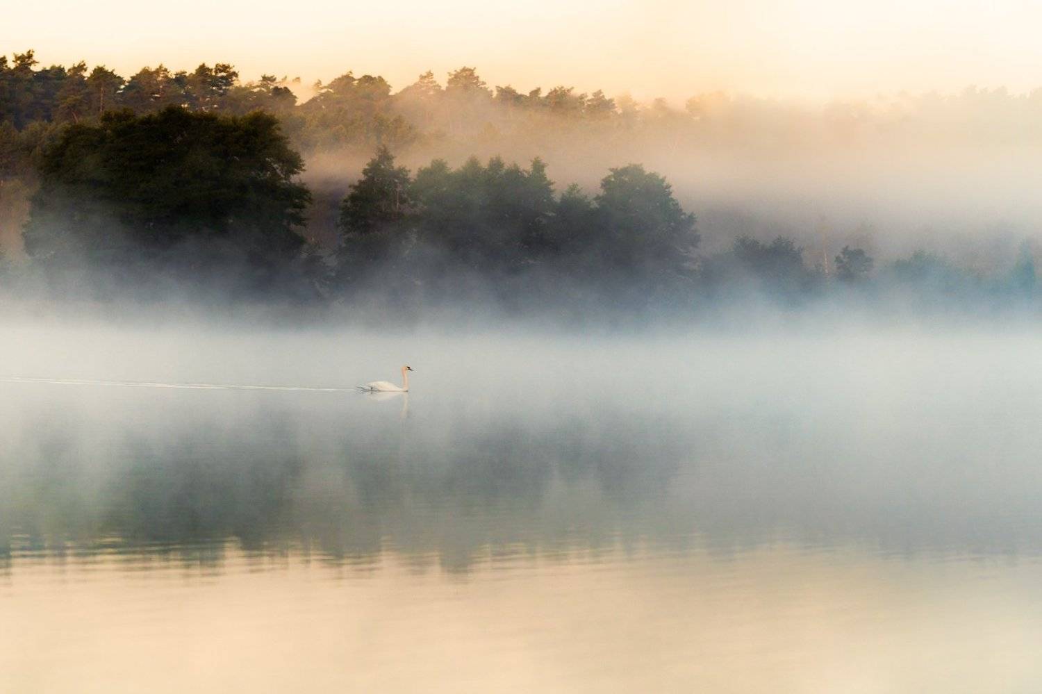 Автор: Marian Lubawski , Marian Lubawski
